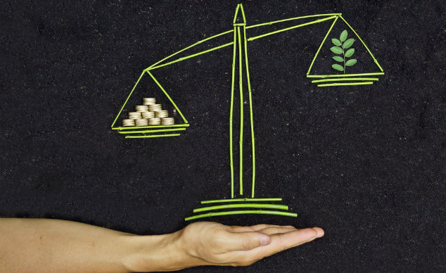 Money-sustainability scale