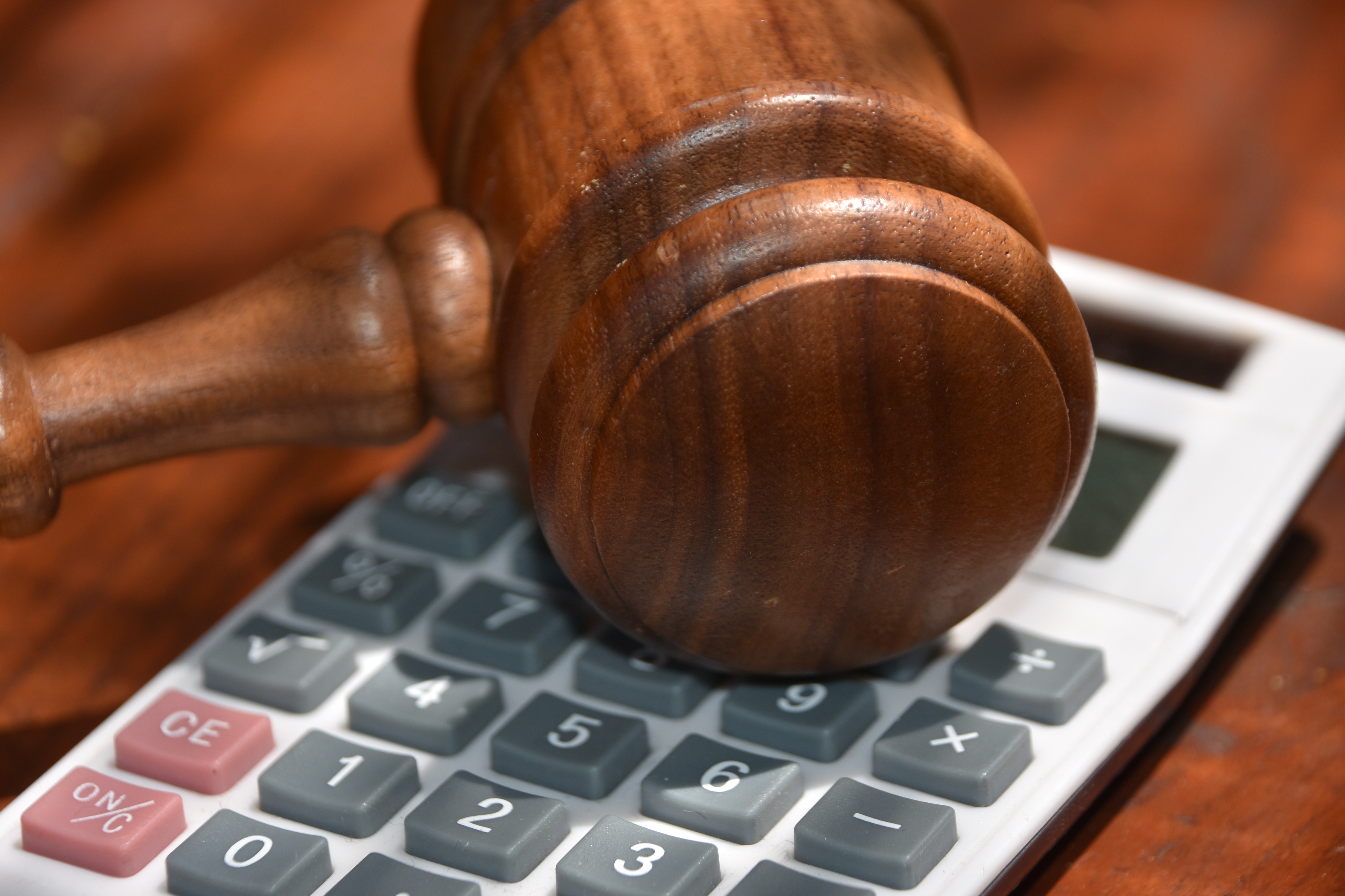 Stein tax evasion.jpg