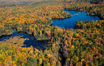 Ivey researcher awarded new funding for conservation finance project