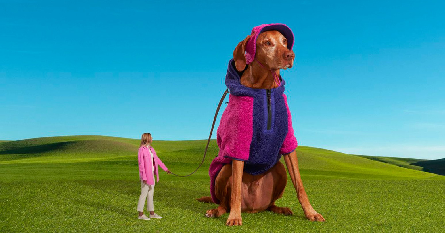 Woman holding the leash of a large dog - Photo illustration by Kyle Jeffers