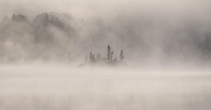 Responsible Investing Report Image