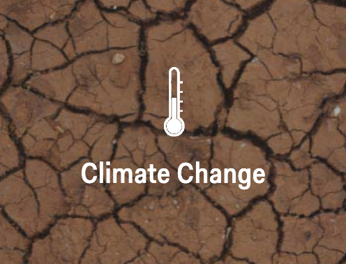 Climate Change