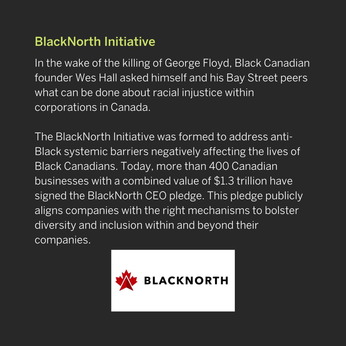 BlackNorth Initiative