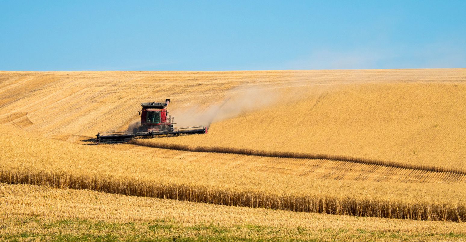 Standard Homepage And News Image Size LNC (24)