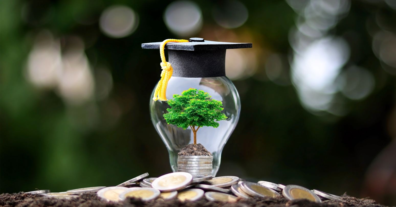 Hazelviewscholarship