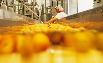 Agri-food | The Performance of Canada’s Food Manufacturing Industry