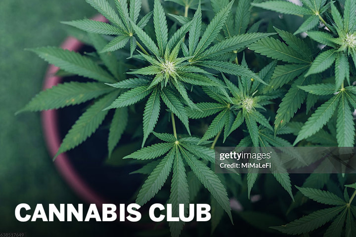 Cannabis Club