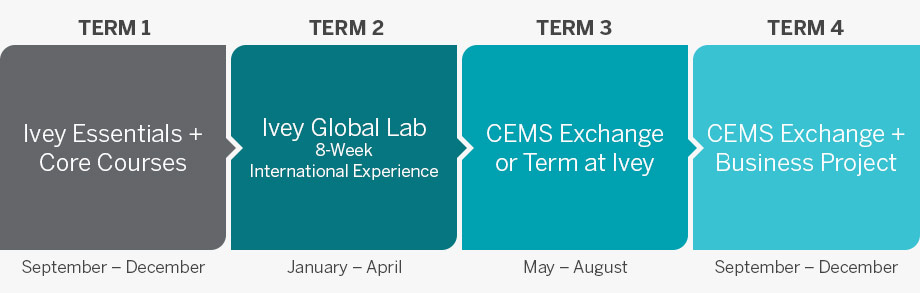 International Business + CEMS MIM Term Breakdown