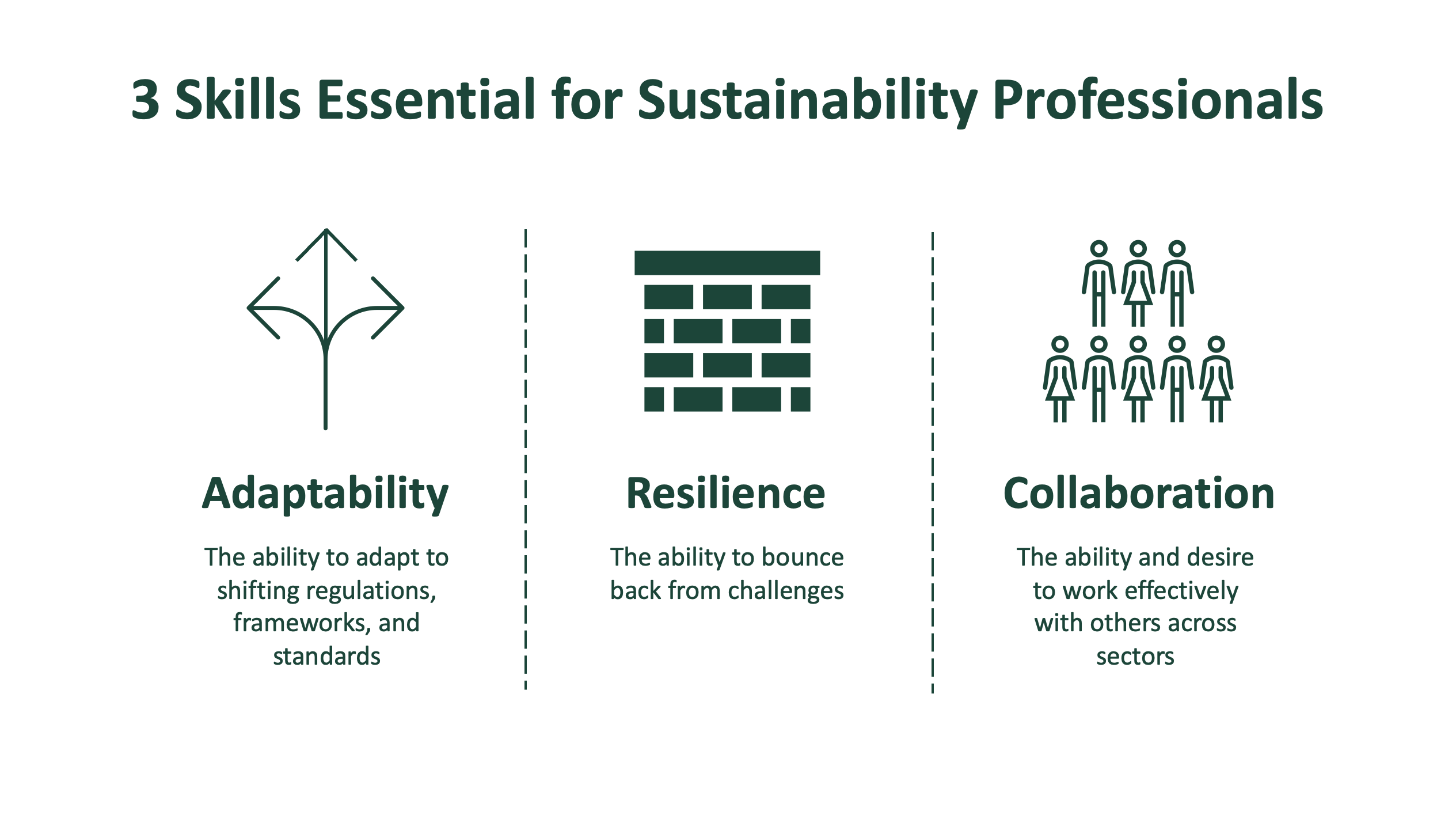 3 skills essential for sustainability professionals