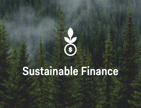 Sustainable Finance