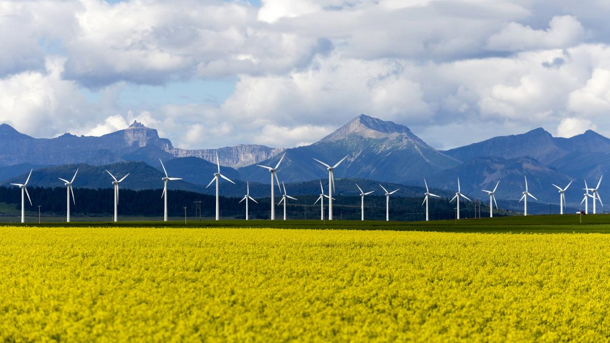 Wind Turbines Alberta Canada