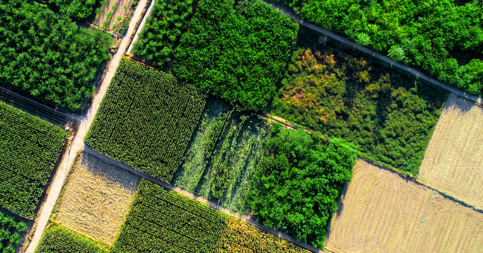 Plots of farmland from aerial view